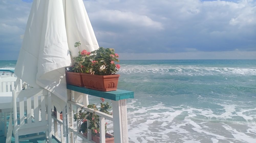 Цветы и Море. Романтик колекшн.