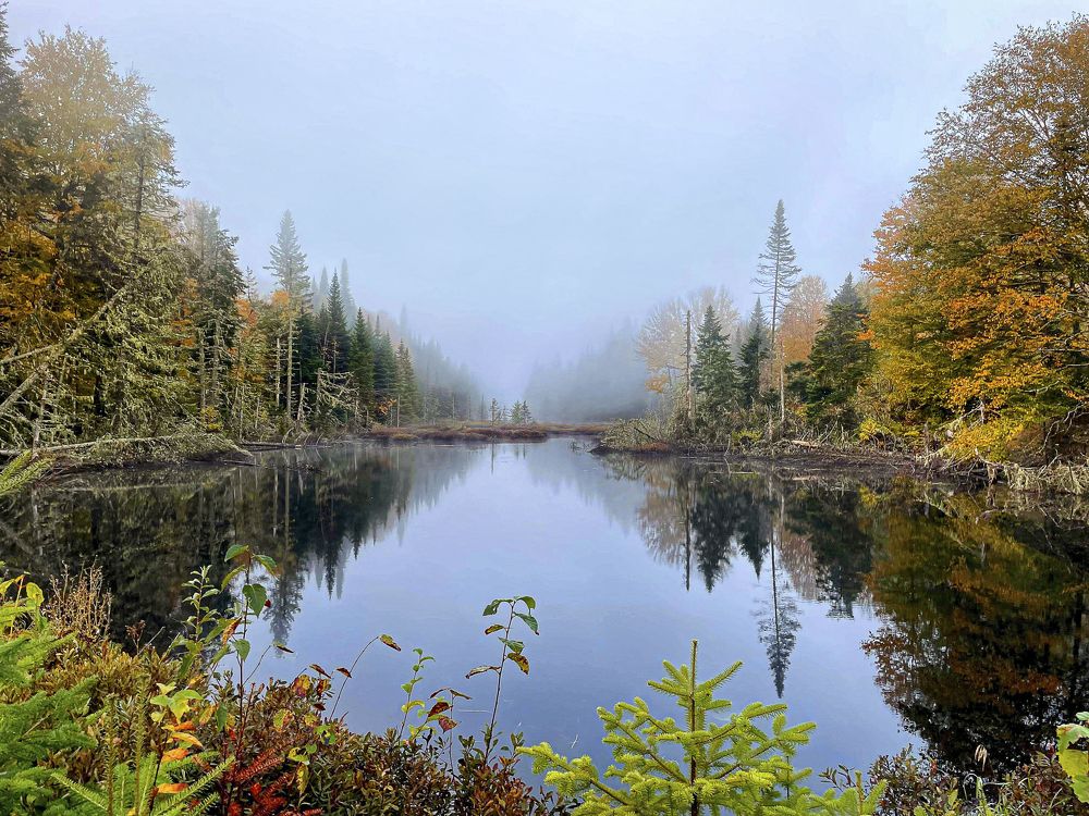 Photograph by Marc-Alain Ferragne