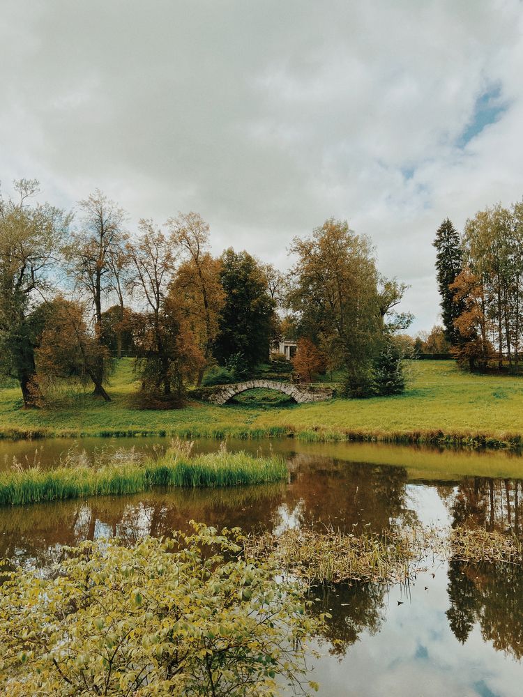 Photograph by Александра Морозова