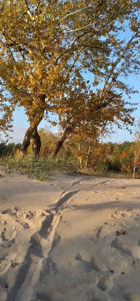 Photograph by Любовь Макарова