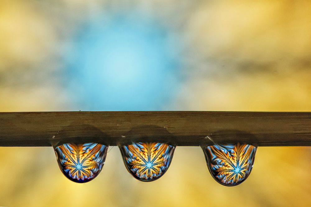 Photograph by António Manuel de Pereira