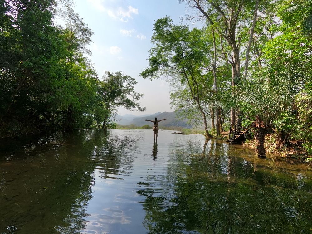 Photo #6557219