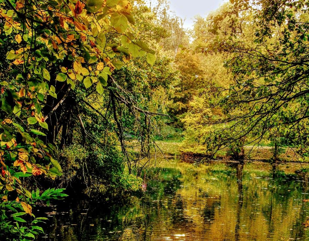 Photograph by Ольга Хромова