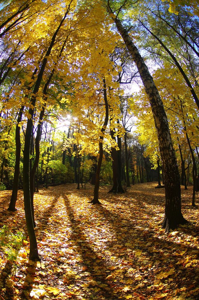 Photograph by Михаил Обертаев