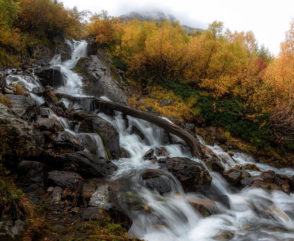 Photograph by Наргиза Кахарова