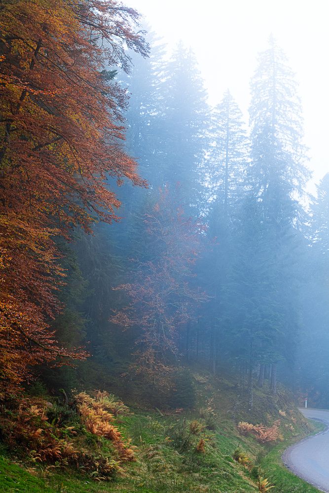 Photograph by Valentina Acrement