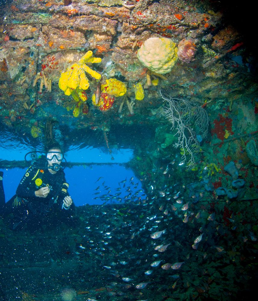 Inside the Mama Vina wreck ship, Playa del Carmen, Quintana Roo, Mexico