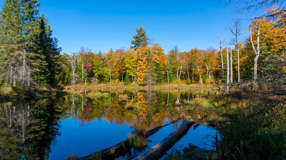Canadian Fall/Autumn Landscape