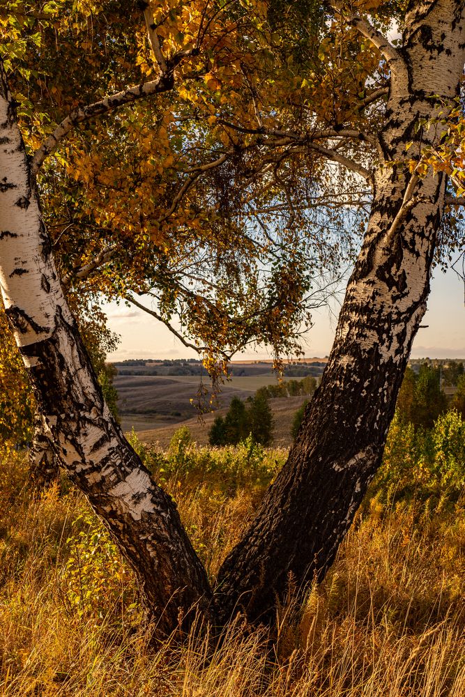 Фотография автора Виталий Гавронский