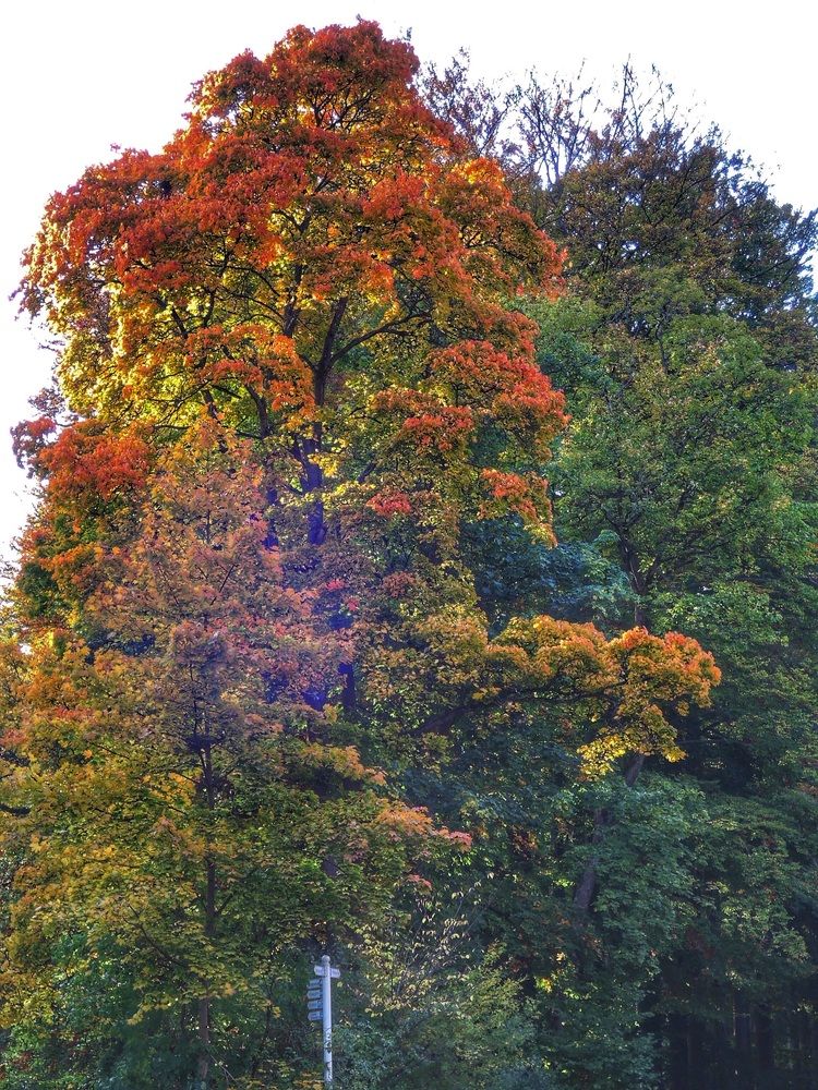 Photograph by Milan Sláma