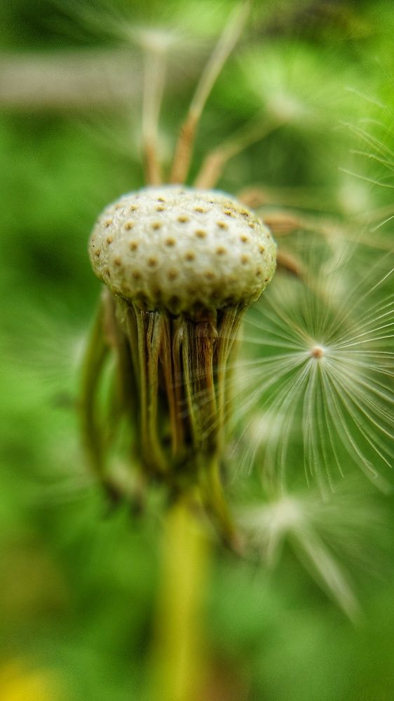 Photograph by Nileydi Colmenarez