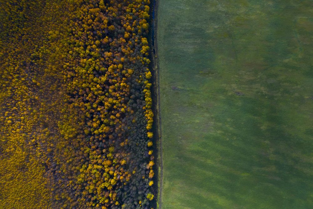 Осенний контраст