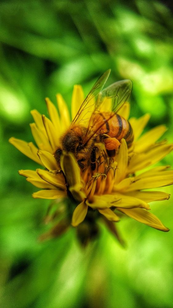 Photograph by Nileydi Colmenarez