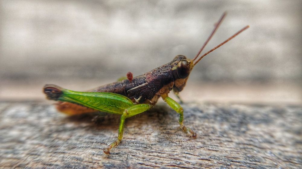 Photograph by Nileydi Colmenarez