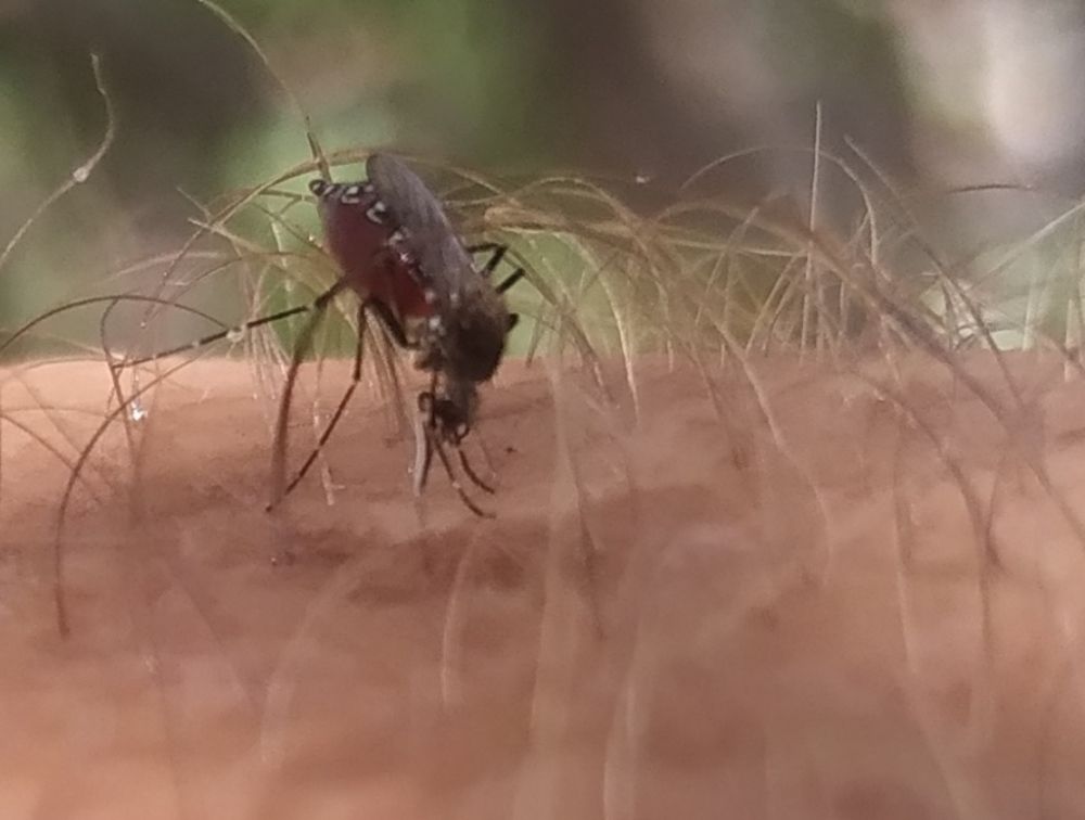 Photograph by Victor Manuel Torno