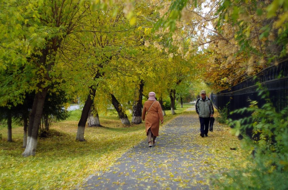 Photograph by Михаил Курзанцев