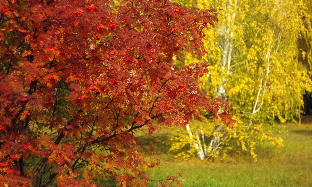 Photograph by Михаил Курзанцев