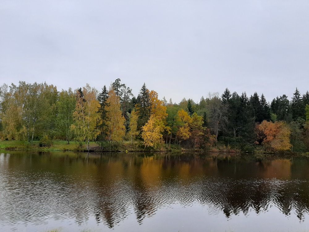 Photograph by Елена Грошева