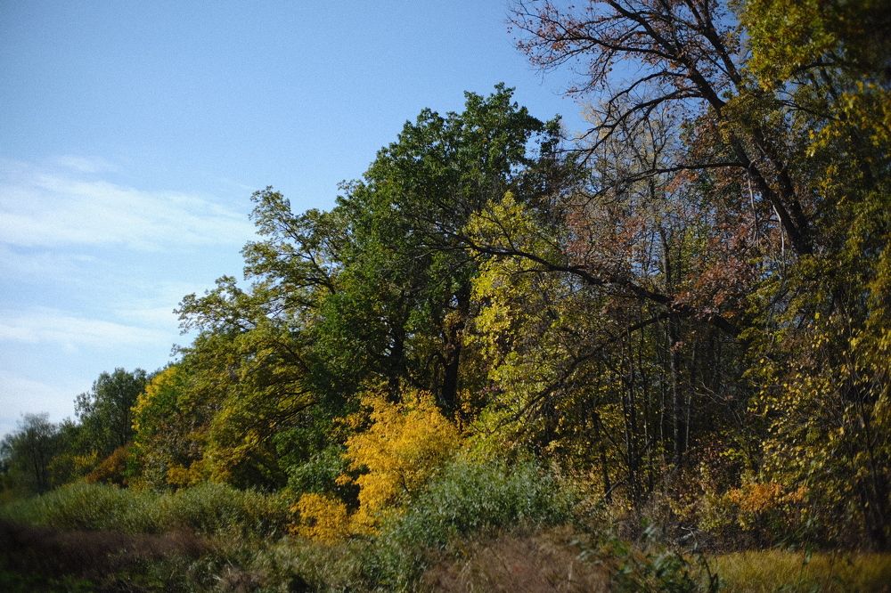 Photograph by Елена Петрюк