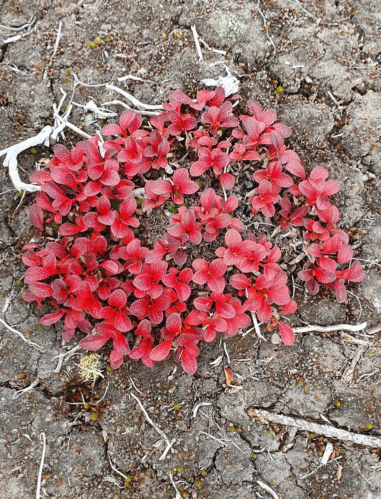 Photograph by Екатерина Швец