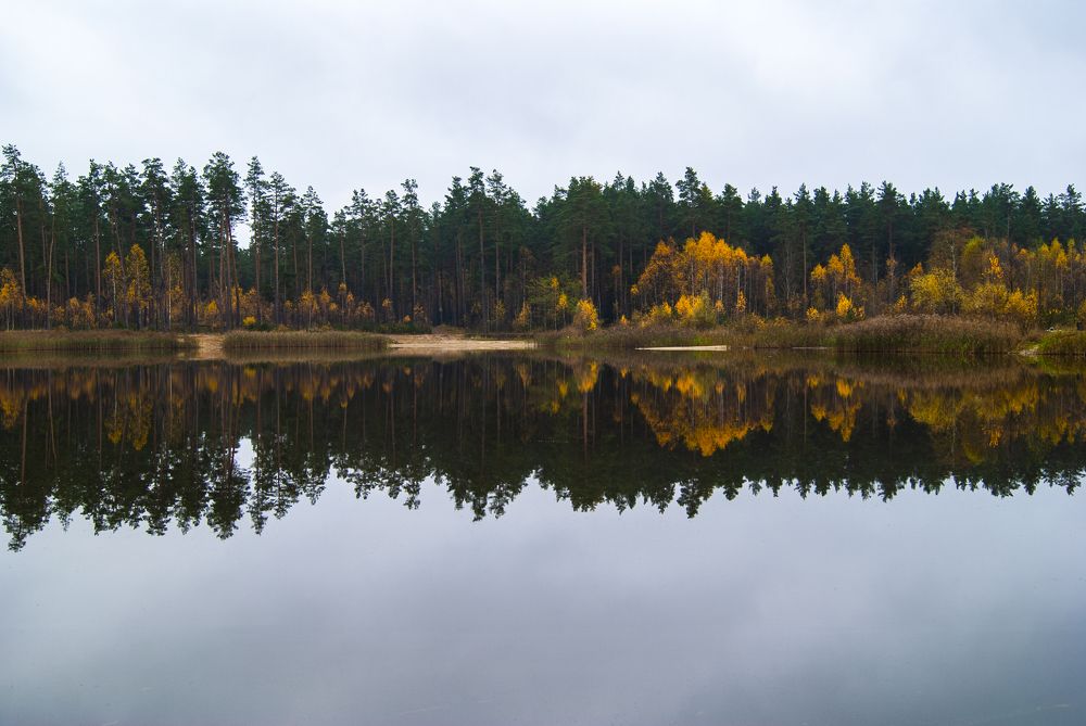 Photograph by Екатерина Бахтинова