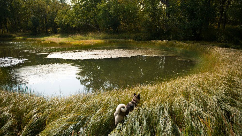 Photograph by Екатерина Швец