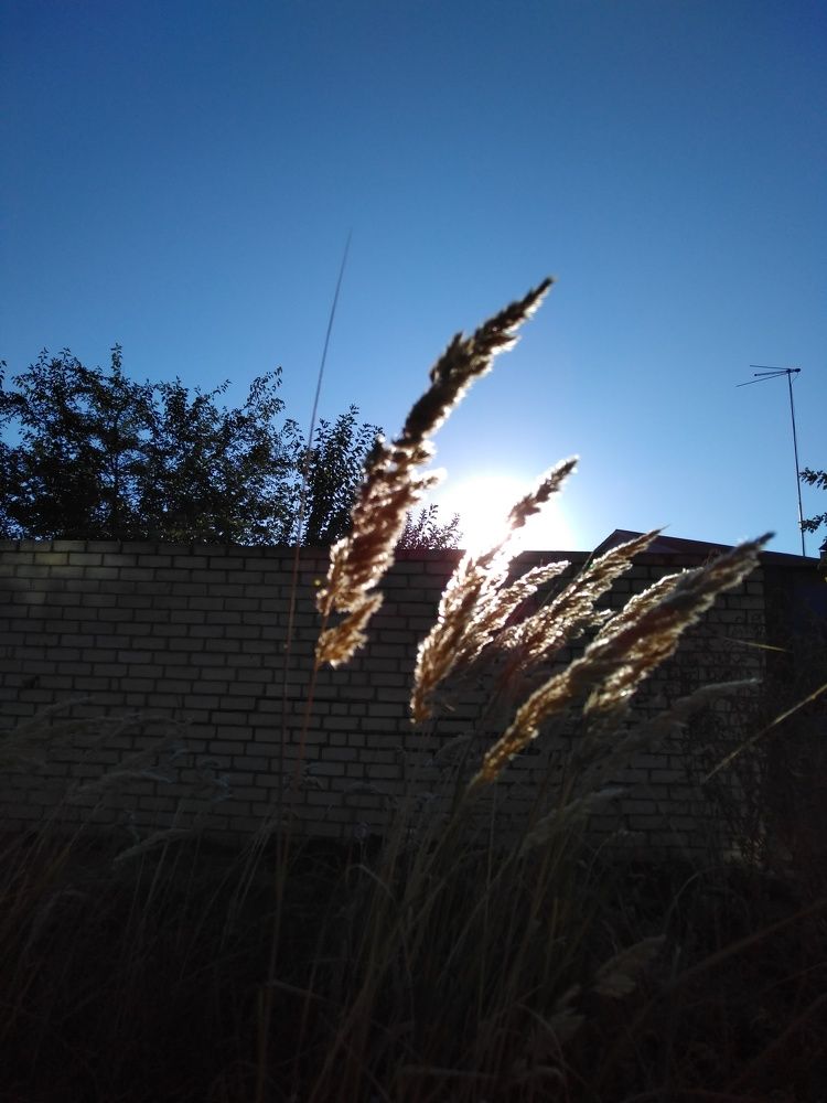 Photo #6557715
