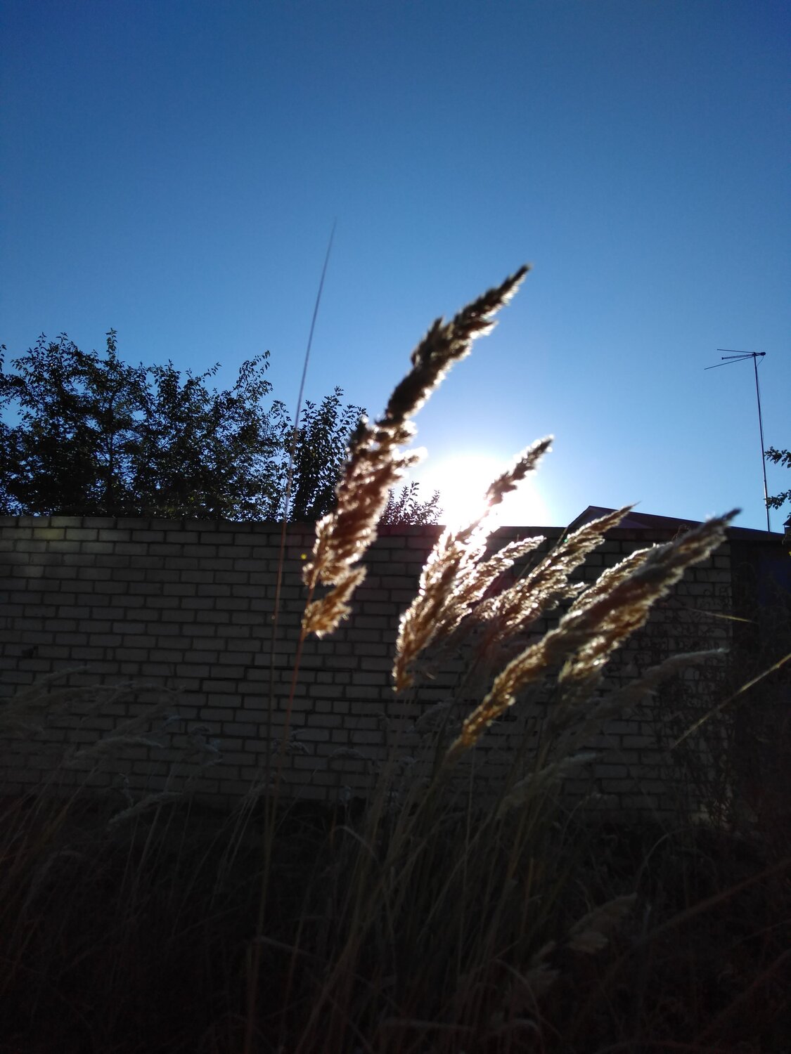 Photo #6557715