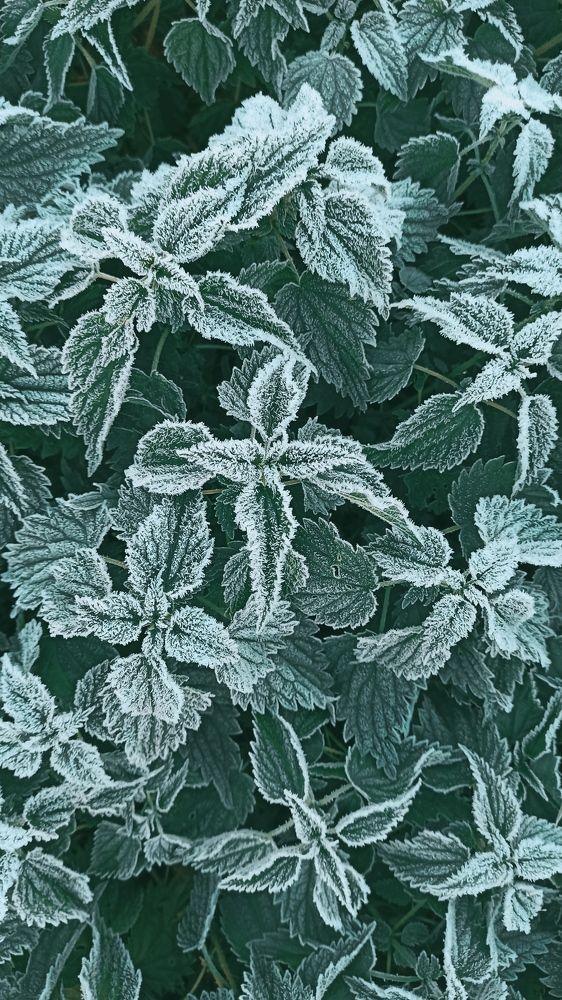 Photograph by Надежда Тарасенко