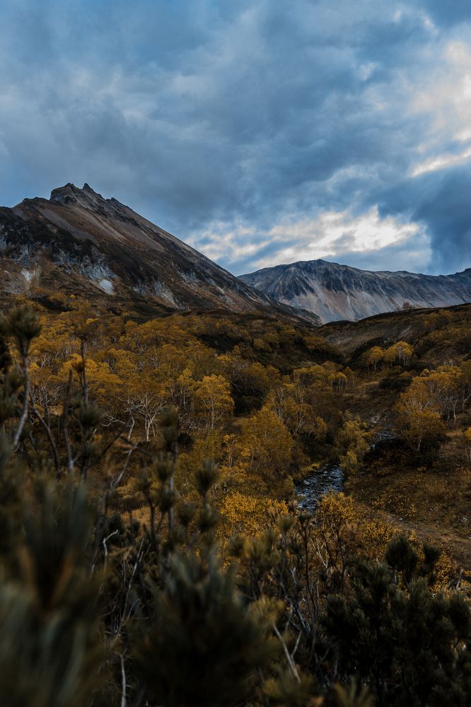 Photograph by Даниил Попков