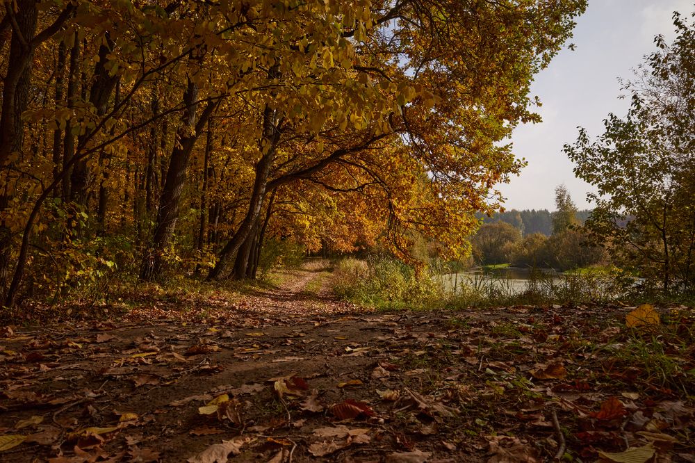 Photograph by сергей воробьёв