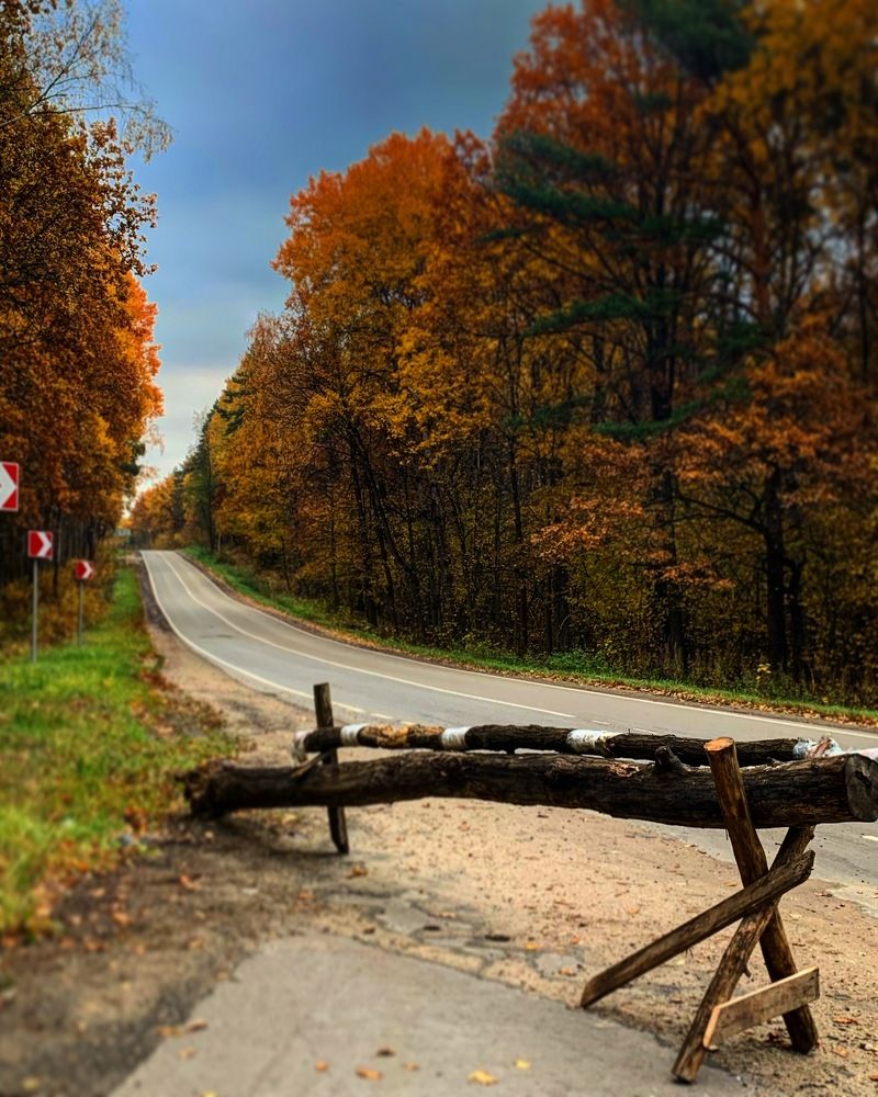 Photograph by Евгения