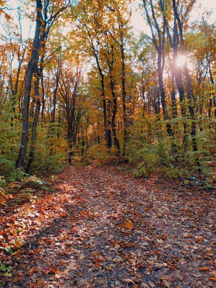 Photograph by Александр Панин