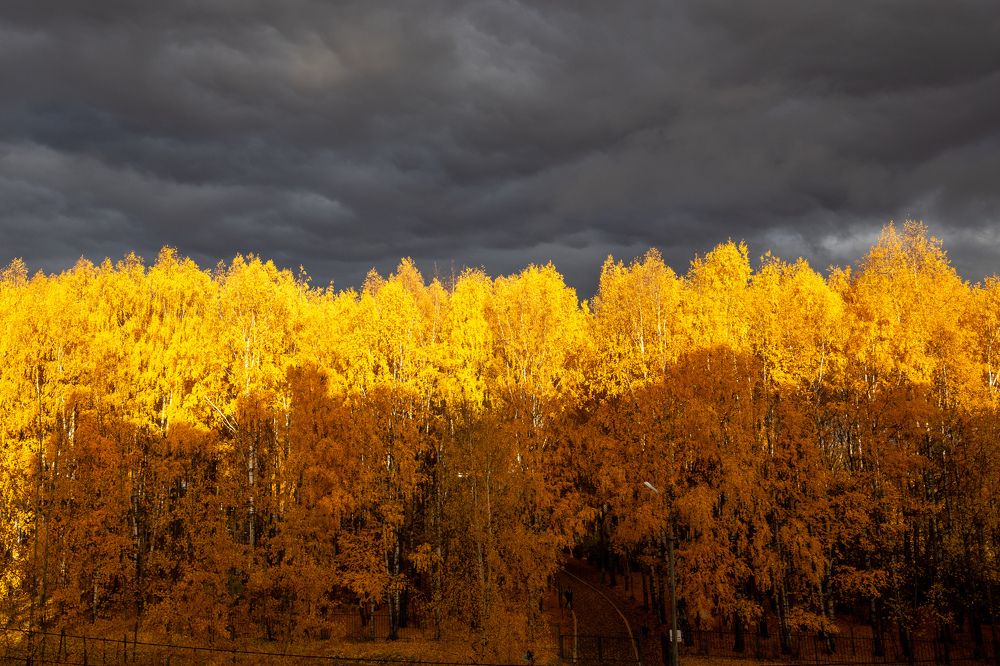 Photograph by Елена Хорохорина