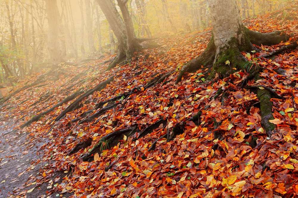 Photograph by Марина Володько