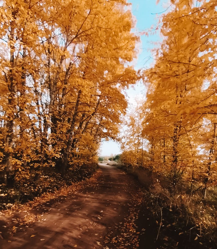 Photograph by Андрей Мелета