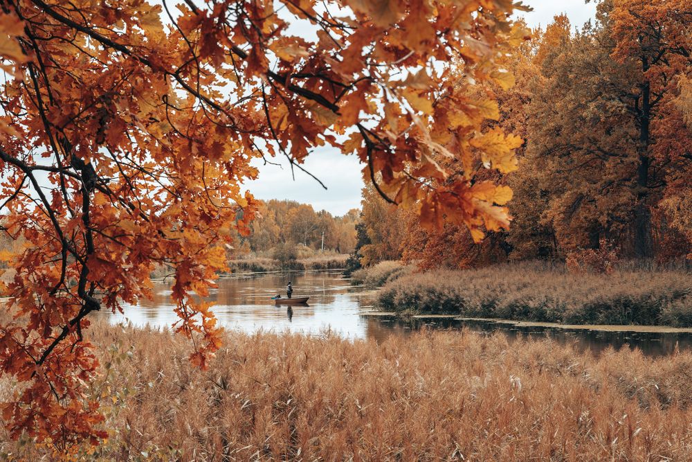 На излучине реки
