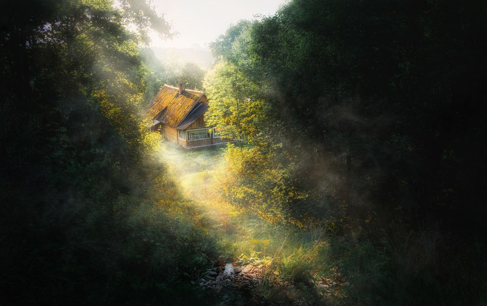 Фотография автора Дмитрий Гирев