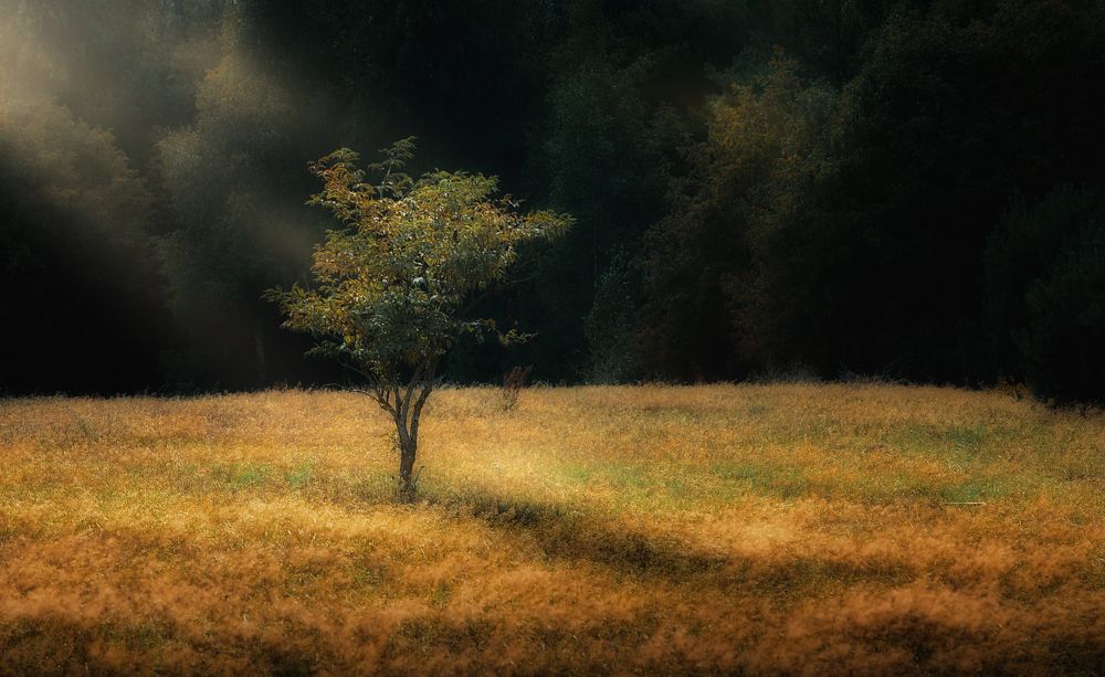 Photograph by Дмитрий Гирев