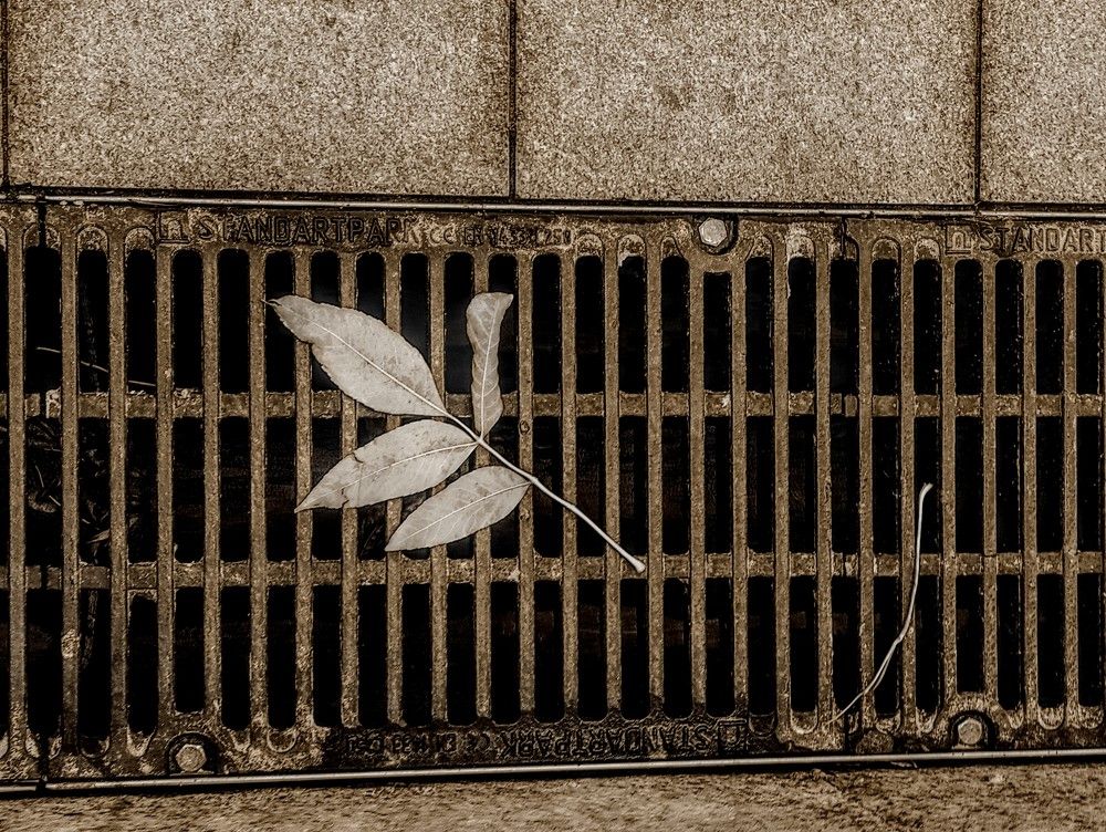 Photograph by Ирина Саттарова