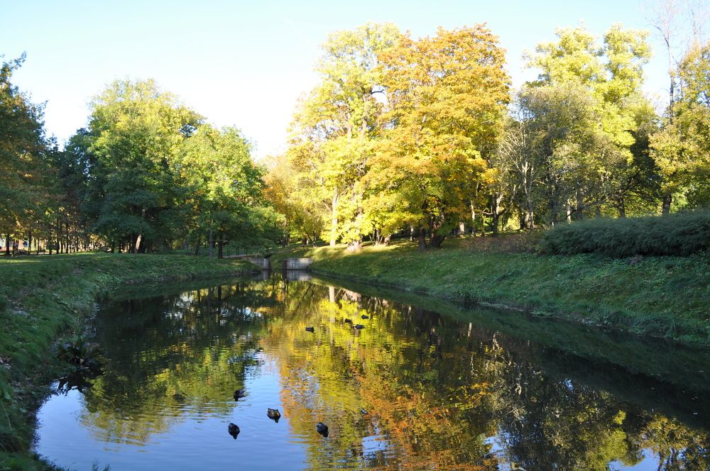 Photograph by Дмитрий Шарый