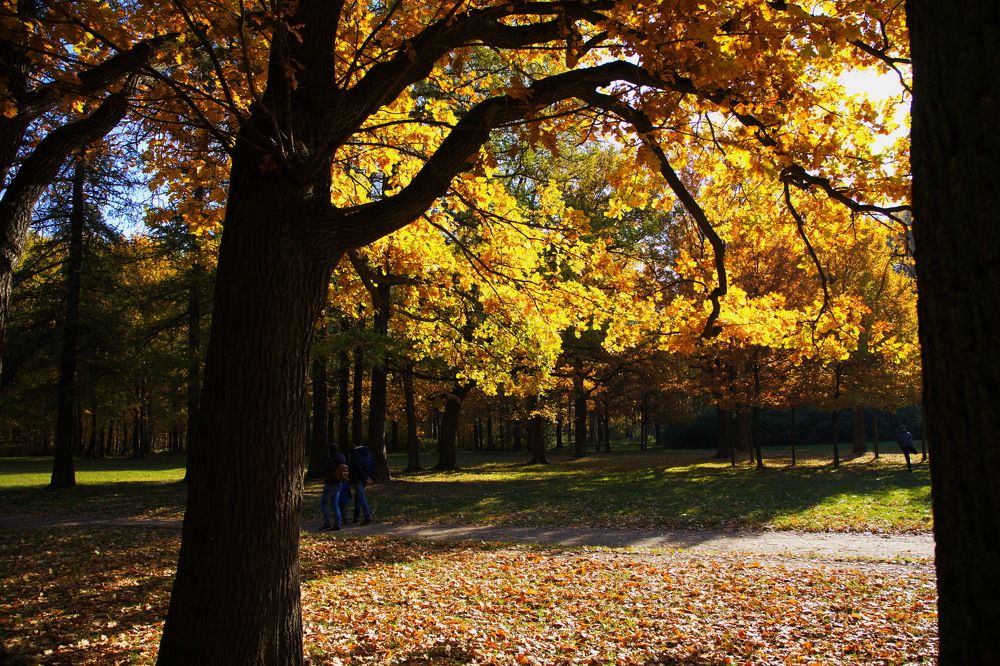 Photograph by Анатолий Протасов