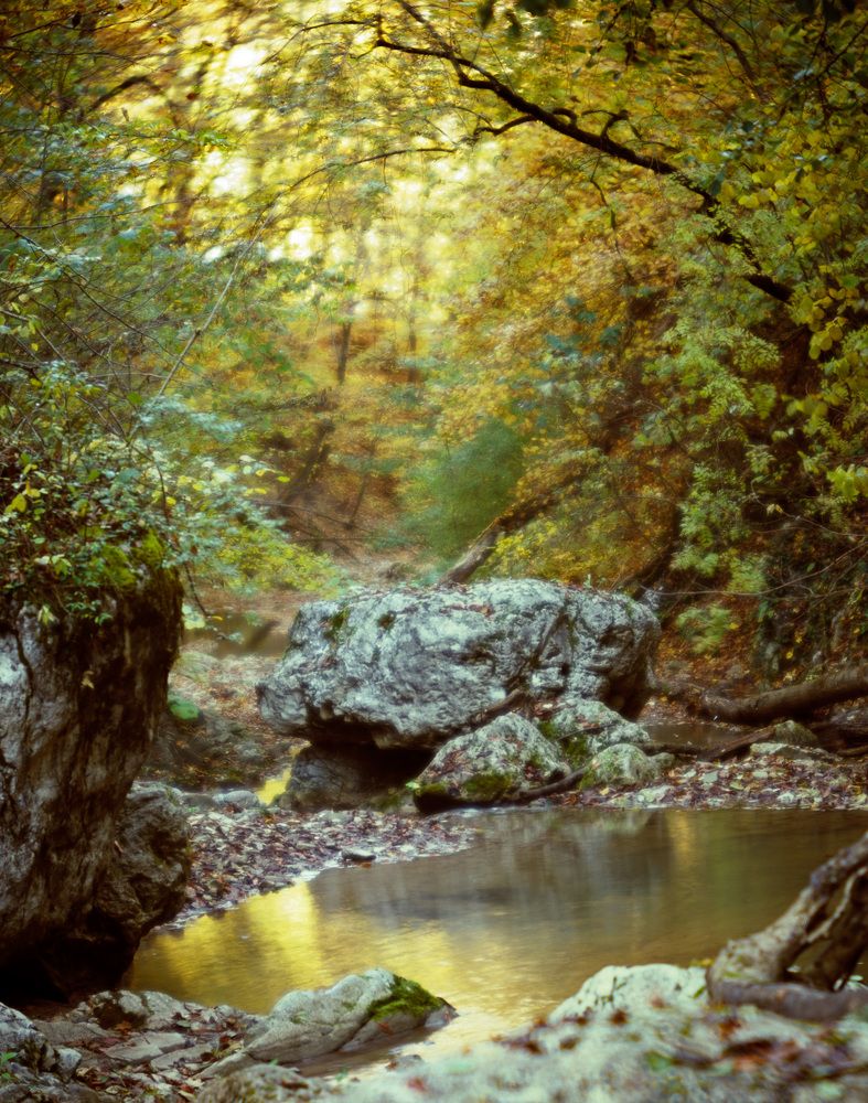 Photograph by Алексей Заморкин