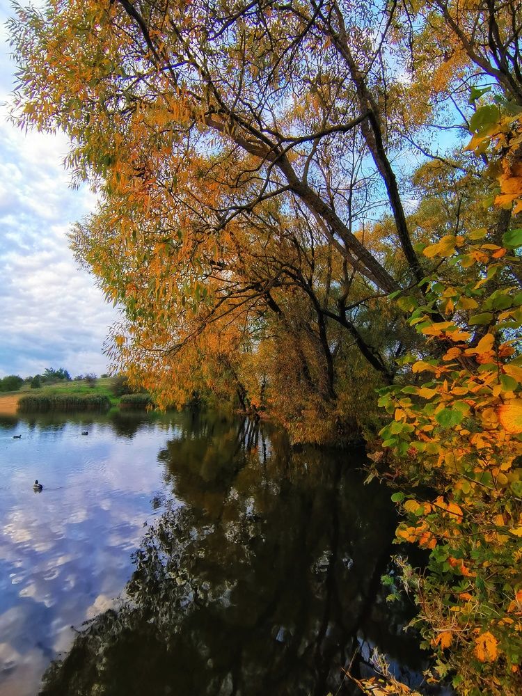 Photograph by Екатерина Ремез