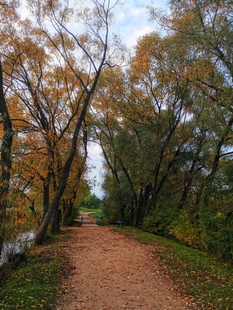 Photograph by Екатерина Ремез