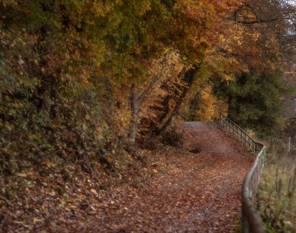 Photograph by Ксения Лаевская