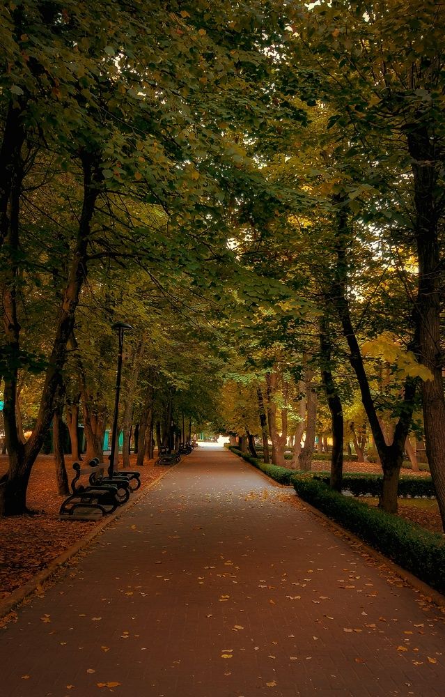 Photograph by Виталий Бокиев