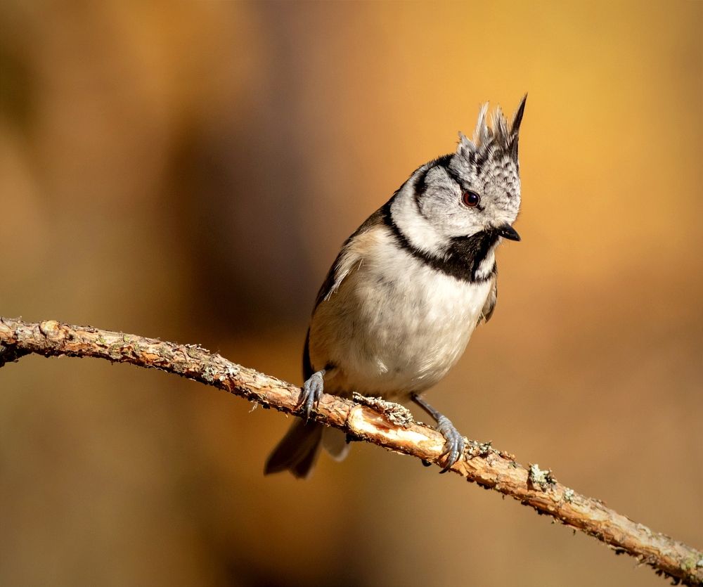 Photograph by Павел Краснослободцев