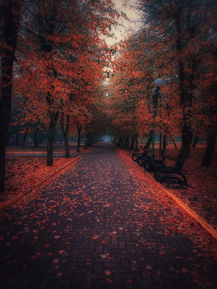 Photograph by Виталий Бокиев