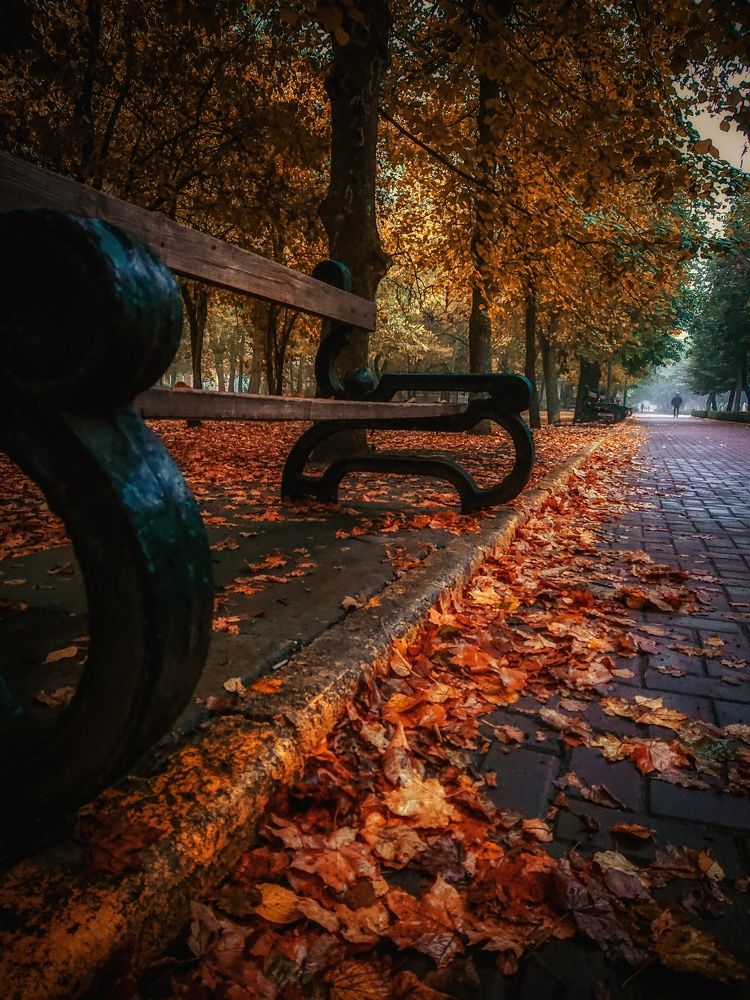 Photograph by Виталий Бокиев